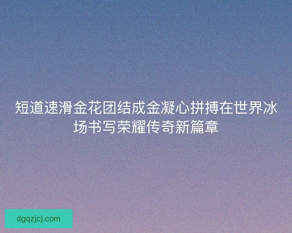 短道速滑金花团结成金凝心拼搏在世界冰场书写荣耀传奇新篇章